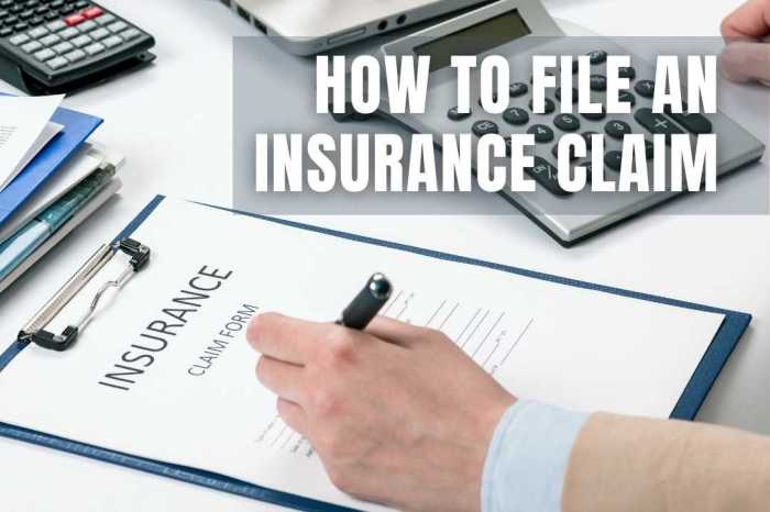 How to File an Insurance Claim: A Step-by-Step Guide How to File an Insurance Claim: A Step-by-Step Guide