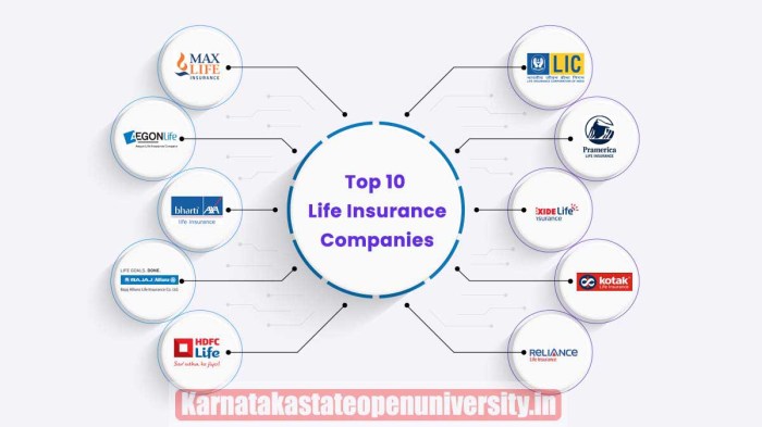 Top 10 Life Insurance Plans in India 2025 Top 10 Life Insurance Plans in India 2025