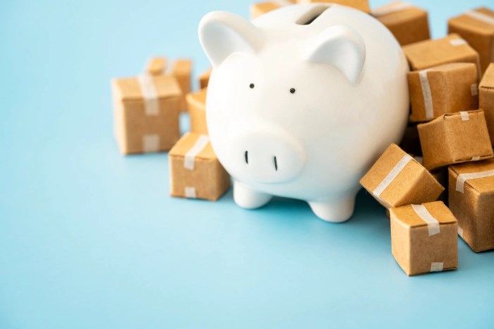 Shipping Insurance Explained - To Insure or Not to Insure Shipping Insurance Explained - To Insure or Not to Insure