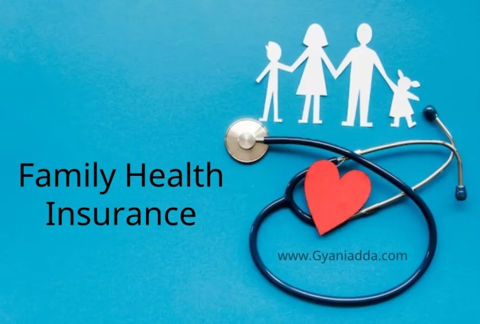 Best Health Insurance Plan Family | Insurance Plans 2024 Best Health Insurance Plan Family | Insurance Plans 2024